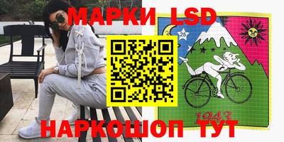 apvp Моздок
